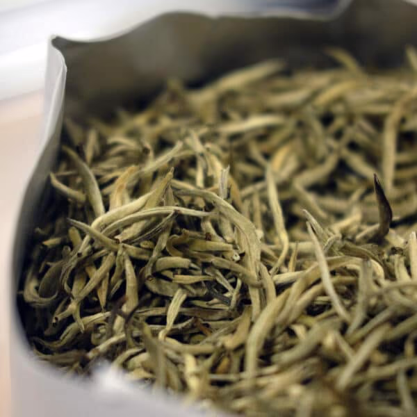 Silvery white tea buds covered in fine down